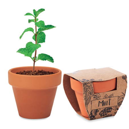 Kit Gradinarit, Ghiveci de Teracota cu Seminte de Menta,, 5x6x5.5 cm