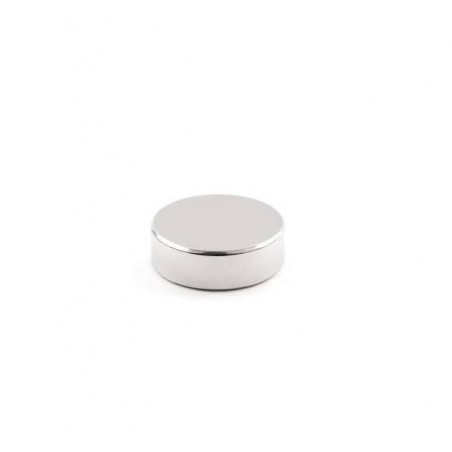 Set 20 magneti foarte puternici, gri, disc, simplu, 25 mm X 4 mm